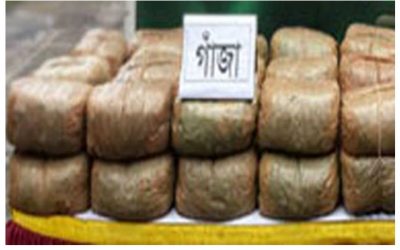 ব্রাহ্মণবাড়িয়া বিজয়নগরে সাড়ে ৩ মণ গাজাসহ মাদক ব্যবসায়ী আটক