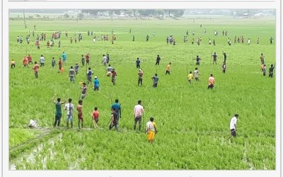 সরাইলে দুই গ্রামবাসীর মধ্যে রক্তক্ষয়ী সংঘর্ষে আহত অর্ধশতাধিক।