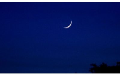 চাঁদ দেখা গেছে, আগামীকাল শনিবার ঈদ…