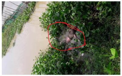 আখাউড়ায় শিশুর অর্ধগলিত লাশ উদ্ধার