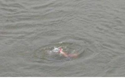 ব্রাহ্মণবাড়িয়ায় সরাইলে পানিতে ডুবে দুই যমজ শিশুর মর্মান্তিক মৃত্যু