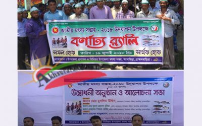 জাতীয় মৎস্য সপ্তাহ উদযাপনে আখাউড়ায় র‌্যালী ও আলোচনা সভা অনুষ্ঠিত…