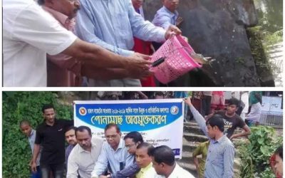 আখাউড়ায় রাজস্ব বাজেটের আওতায় মাছের পোনা অবমুক্ত…