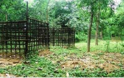 দাফনের ৮ দিন পর ব্রাহ্মণবাড়িয়ার মৃত ব্যক্তিকে জীবিত উদ্ধার