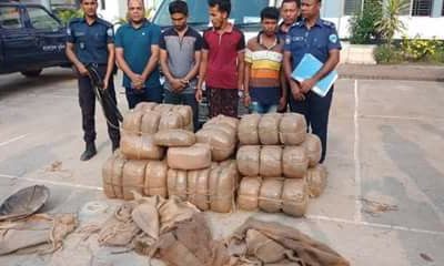 কসবায় বিপুল পরিমান গাঁজাসহ জ্বালানি মন্ত্রণালয়ের ষ্টিকারযুক্ত মাইক্রোবাস জব্দ গ্রেফতার ৩