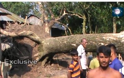 আখাউড়ায় ৪ গ্রামে কাল বৈশাখী ঝরে ব্যাপক ক্ষতি।