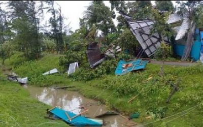 ফণী’র প্রভাবে সারাদেশে নিহত ১৪
