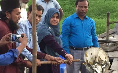 আখাউড়ায় ২শত ৫০ কেজি পোনা মাছ অবমুক্ত।