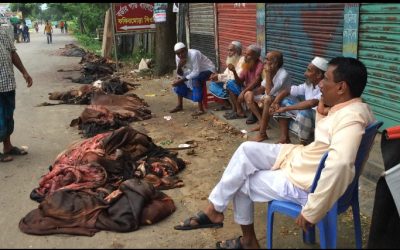 আখাউড়ায় পশুর চামড়া কিনে বিপাকে মৌসুমি ব্যবসায়ীরা।