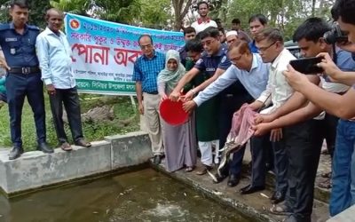 আখাউড়ায় উম্মুক্ত জলাশয় ও বিভিন্ন প্রাতিষ্ঠানিক জলাশয়ে পোনা মাছ অবমুক্তকরণ।