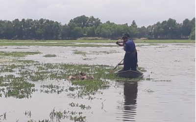 নিখোঁজের ৪৮ ঘন্টার পর আখাউড়ায় বৃদ্ধের অর্ধগলিত লাশ উদ্ধার।