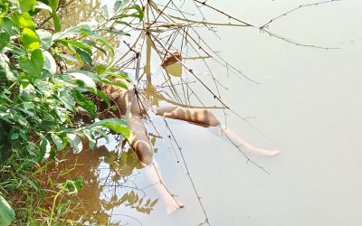 আখাউড়ায় পুকুর থেকে শিশুর ভাসমান লাশ উদ্ধার।