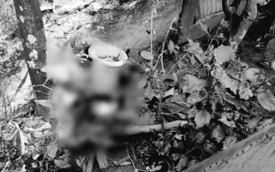 ব্রাহ্মণবাড়িয়ায় এক তরুণীর লাশ উদ্ধার