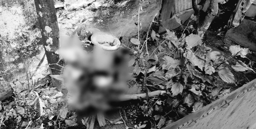ব্রাহ্মণবাড়িয়ায় এক তরুণীর লাশ উদ্ধার