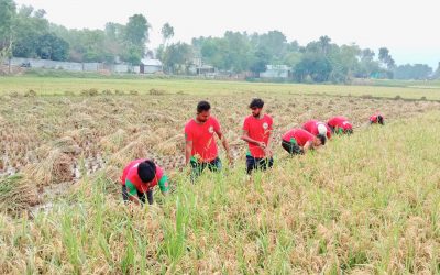 আখাউড়ায় কৃষকদের পাশে সামাজিক সংগঠন ‘স্বপ্নতরী’