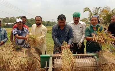 এবার করোনা আক্রান্ত পরিবারের ধান কেঁটে মাড়ায় করে দিল যুবলীগ