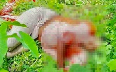 ব্রাহ্মণবাড়িয়ার নবীনগরে প্রবাসীর স্ত্রীর মরদেহ উদ্ধার