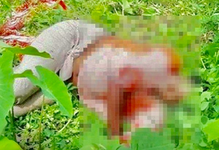 ব্রাহ্মণবাড়িয়ার নবীনগরে প্রবাসীর স্ত্রীর মরদেহ উদ্ধার