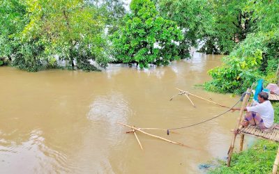 ভারতের ত্রিপুরা থেকে নেমে আসা পানিতে আখাউড়ার সীমান্তবর্তী এলাকা প্লাবিত