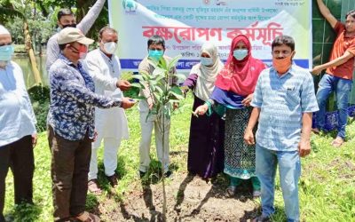 আখাউড়ায় মুজিব শতবার্ষিকী উপলক্ষে বৃক্ষরোপন কর্মসূচী পালিত