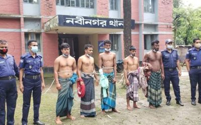 নবীনগরে গরুসহ ৫ গরু চোর কে গ্রেফতার করেছে পুলিশ