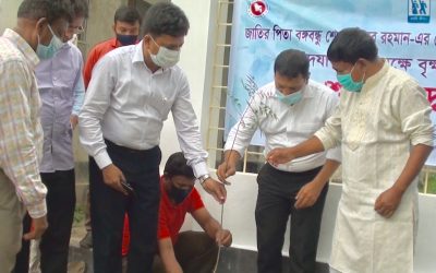আখাউড়ায় শেখ কামাল এর জন্মবার্ষিকী উদযাপনে বৃক্ষরোপন কর্মসূচী উদ্ভোধন