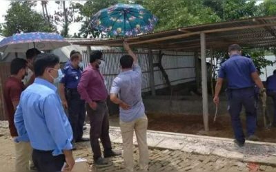 বিজয়নগর শেখ হাসিনা সড়কে মনিপুরের অবৈধ গরুর খামারে মোবাইল কোর্ট ও গ্রেফতার ২৮