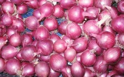বাংলাদেশে ২৫ হাজার টন পেঁয়াজ রপ্তানির অনুমোদন দিয়েছে ভারত
