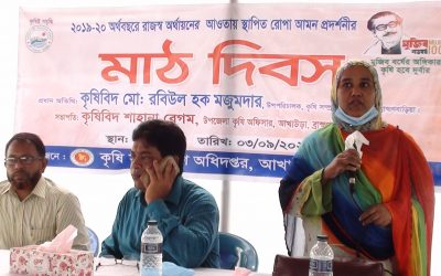 আখাউড়ায় রোপা আমন প্রদর্শনীর মাঠ দিবস অনুষ্ঠিত