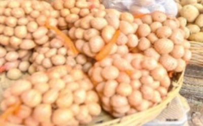 আলুর দাম নির্ধারণ করেছে সরকার