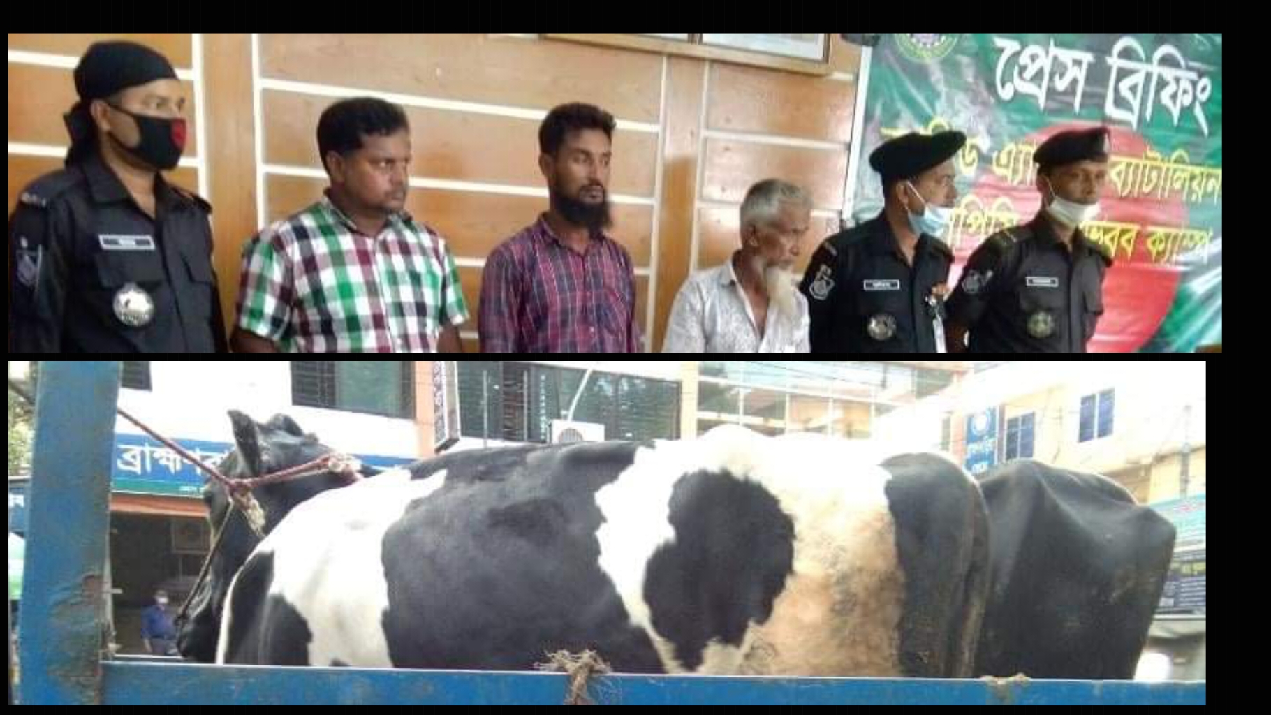 র‍্যাবের অভিযানে আশুগঞ্জে ০২ টি গরু’সহ ৩ চোর গ্রেফতার