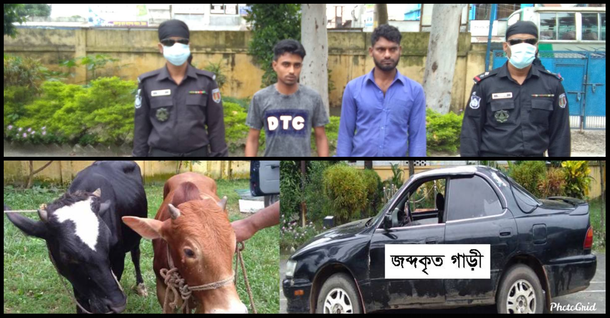ব্রাহ্মণবাড়িয়ায় কালো প্রাইভেটকার দিয়ে গরু চুরির সময় র‍্যাবের হাতে আটক ২