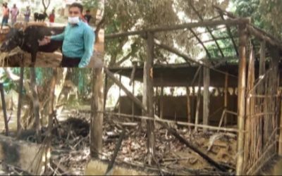 বিজয়নগরে ১ গরু খামারে আগুন লেগে পুড়ে ছাই ৫ লক্ষাধিক টাকার ক্ষয়ক্ষতি