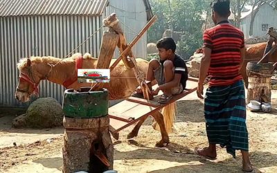 নাসিরনগরে পৈত্রিক পেশা ঘানি ভাঙ্গা কাজে ব্যস্ত মফিজ মিয়া