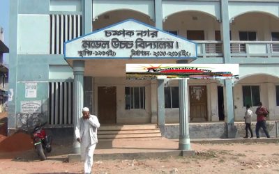 বিজয়নগরে ক্ষমতার বলে স্কুলের গাছ কর্তন