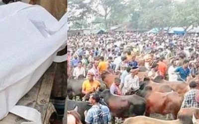 কসবায় গরু রাখার জায়গা নিয়ে সংঘর্ষে নিহত ১