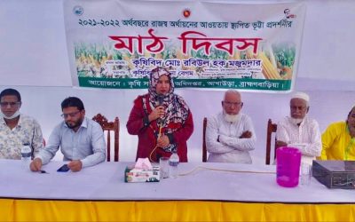 আখাউড়ায় ভুট্টা প্রদর্শনীর মাঠ দিবস অনুষ্ঠিত