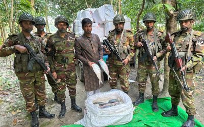 ভারতে পাচারকালে পিকআপ ভর্তি ইলিশ জব্দ