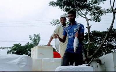 আখাউড়া স্থলবন্দর দিয়ে সন্ধ্যায় ২ টন ইলিশ গেলো ভারতে।