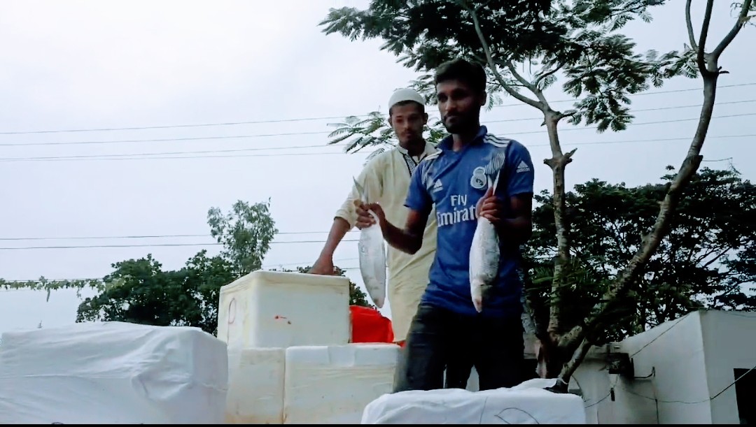 আখাউড়া স্থলবন্দর দিয়ে সন্ধ্যায় ২ টন ইলিশ গেলো ভারতে।