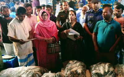 আখাউড়ায় নিষিদ্ধ জাটকা ইলিশ জব্দ