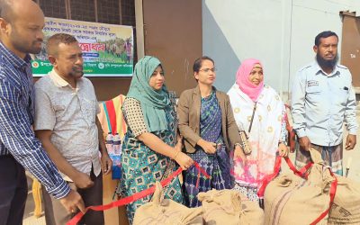 আখাউড়ায় আমন মৌসুমের ধান সংগ্রহ শুরু
