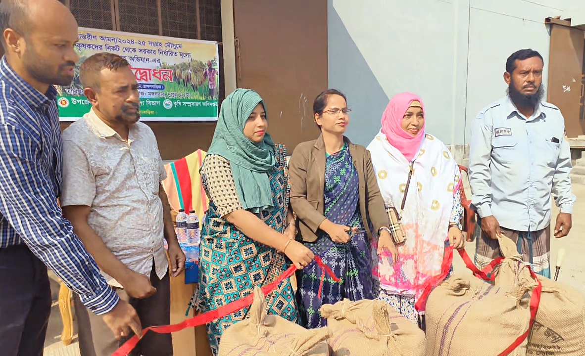 আখাউড়ায় আমন মৌসুমের ধান সংগ্রহ শুরু