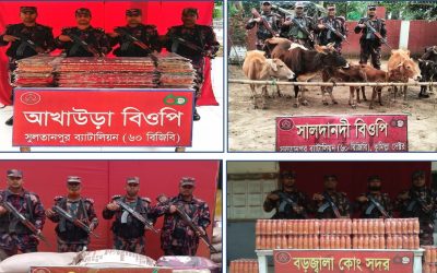 ব্রাহ্মণবাড়িয়ায় ৬৫ লাখ টাকার ভারতীয় পণ্য জব্দ করেছে বিজিবি