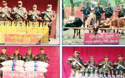 ব্রাহ্মণবাড়িয়ায় অর্ধকোটি টাকার ভারতীয় পণ্য জব্দ করেছে বিজিবি