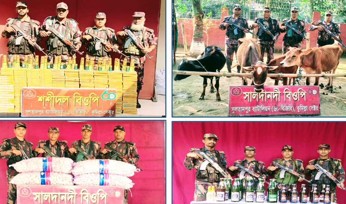 ব্রাহ্মণবাড়িয়ায় অর্ধকোটি টাকার ভারতীয় পণ্য জব্দ করেছে বিজিবি