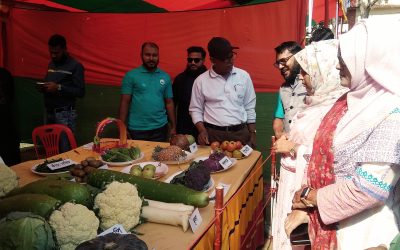 কৃষি মেলায় দৃষ্টি কাড়ে রঙ্গিন ফুলকপি, বড় আকারের লাউে