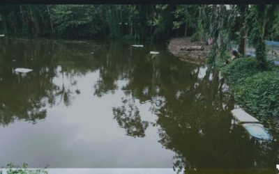 আখাউড়ায় পুকুরে ভাসছিল মরদেহ, গলায় আঘাতের চিহ্ন