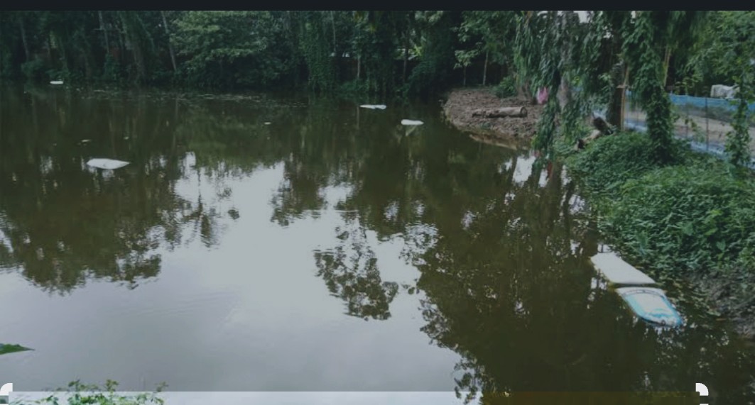 আখাউড়ায় পুকুরে ভাসছিল মরদেহ, গলায় আঘাতের চিহ্ন