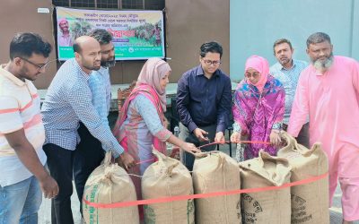আখাউড়ায় ৩৮৮ টন বোরো ধান সংগ্রহের লক্ষ্যমাত্রা
